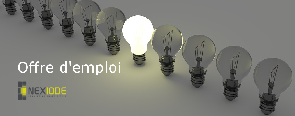 emploi-nexiode3.png